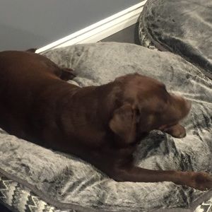 Meet your Posher, Isabel